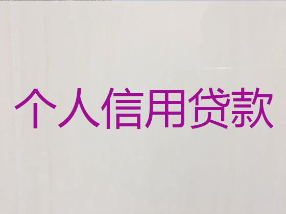 禹城市贷款公司-银行信用贷款